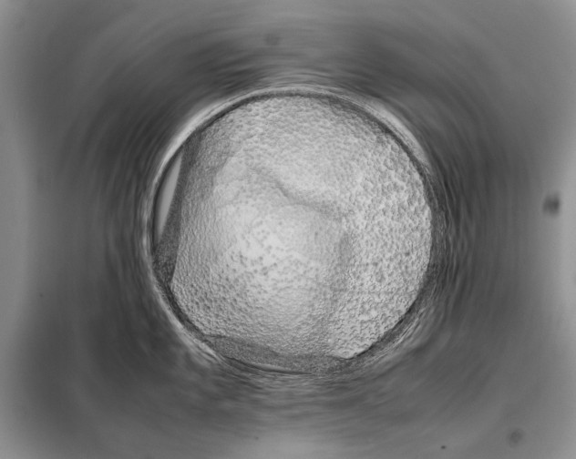 X0000098081101200805021016