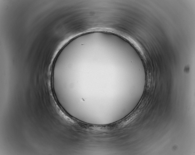 X0000098081102200805021016