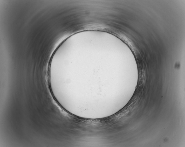 X0000098081103200805021016