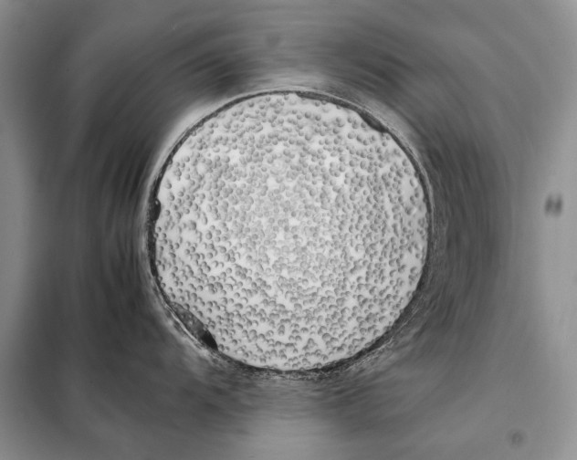 X0000098081104200805021016