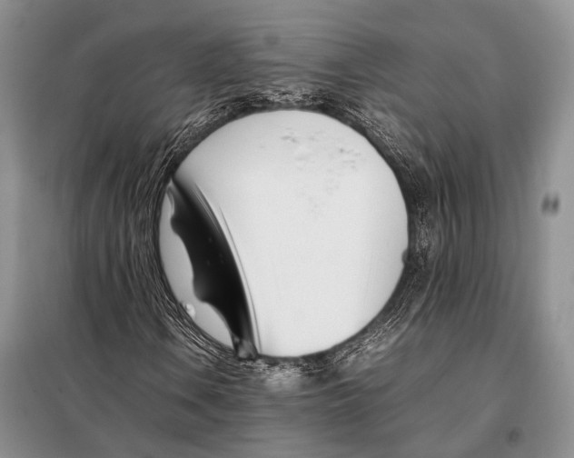 X0000098081106200805021015