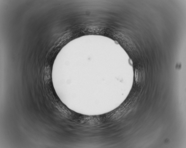 X0000098081107200805021015