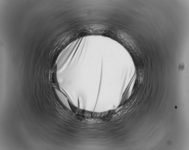 X0000098081108200805021015