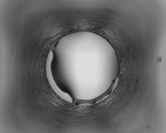 X0000098081109200805021015