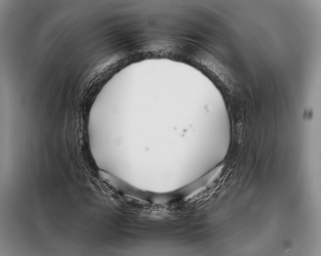 X0000098081111200805021015