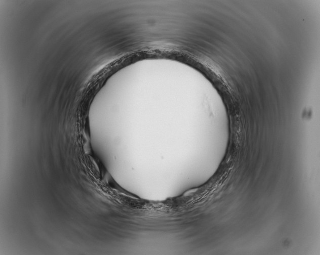 X0000098081112200805021015