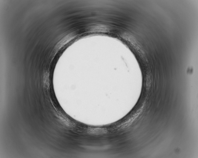 X0000098081113200805021015