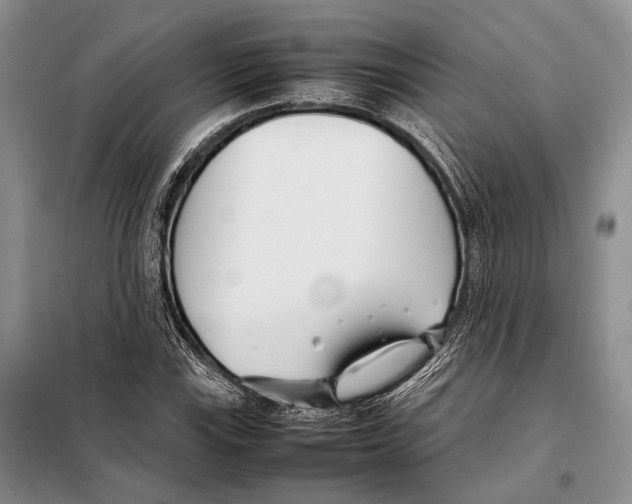 X0000098081115200805021015