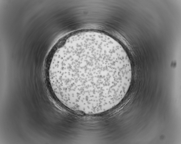 X0000098081116200805021015