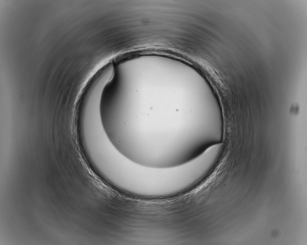 X0000098081118200805021015