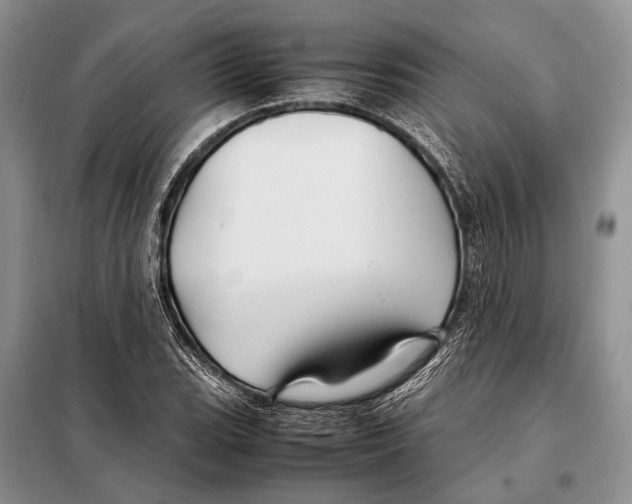 X0000098081119200805021015