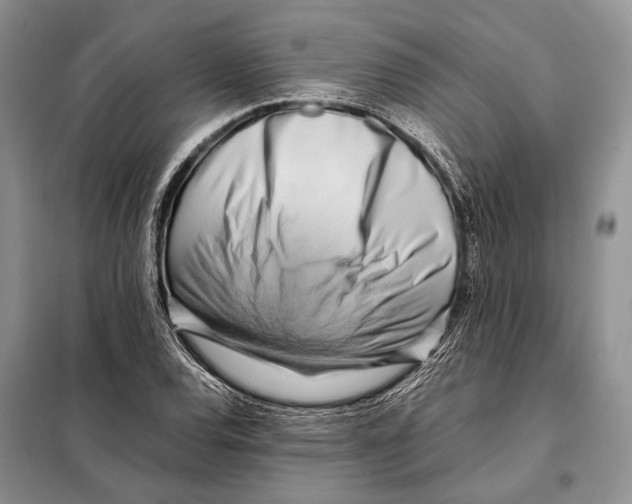 X0000098081120200805021015