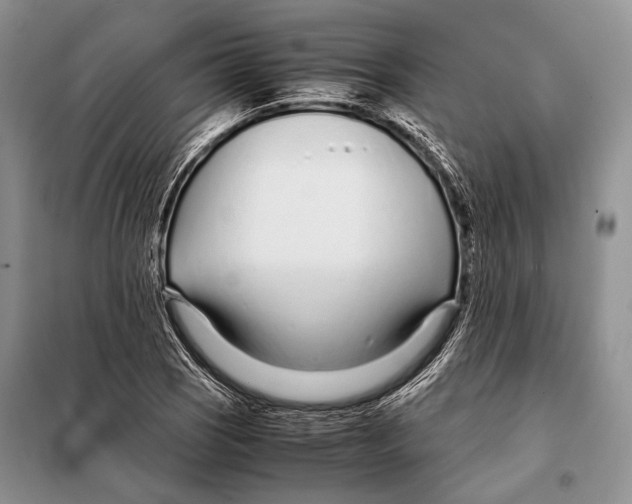 X0000098081121200805021015