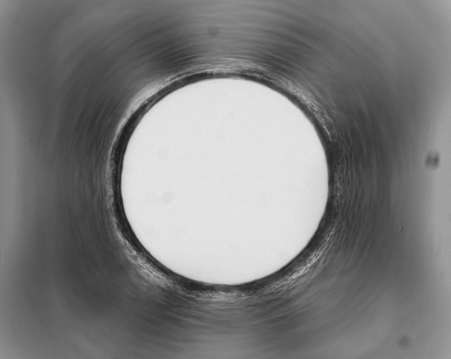 X0000098081122200805021015
