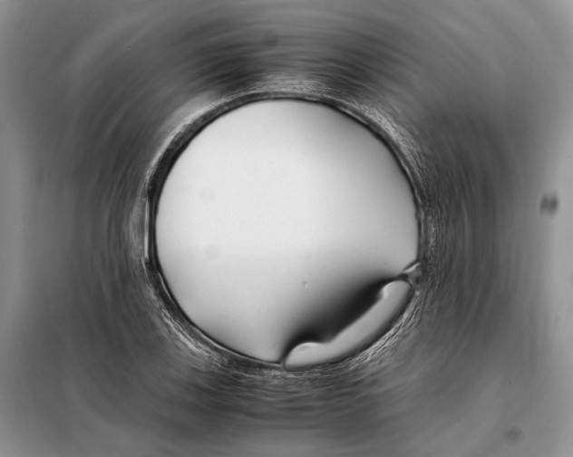 X0000098081123200805021015