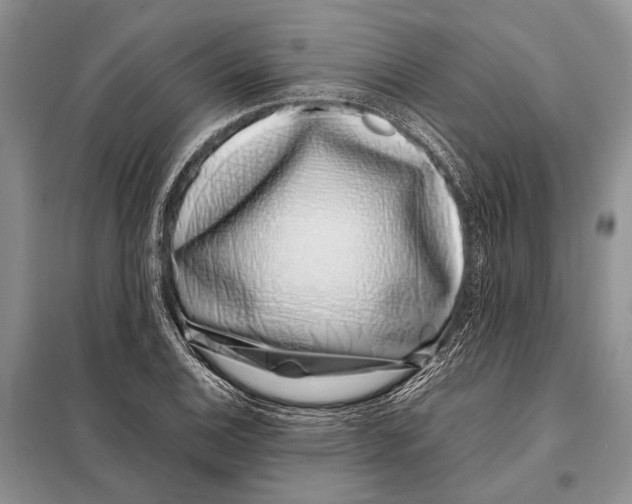 X0000098081124200805021015