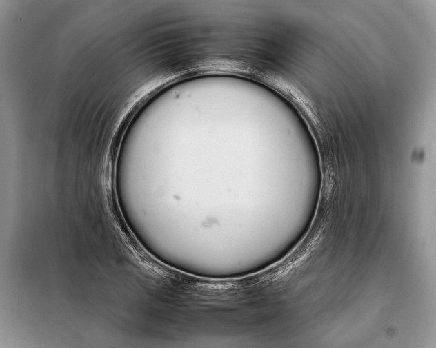 X0000098081125200805021015