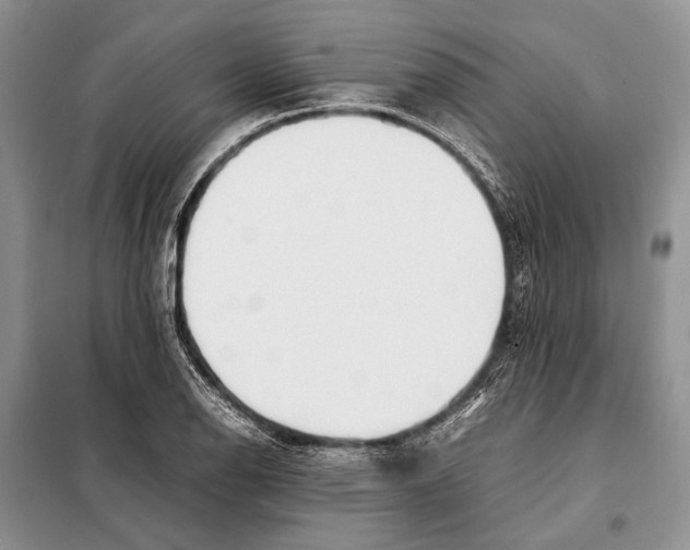X0000098081126200805021015