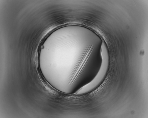 X0000098081127200805021015