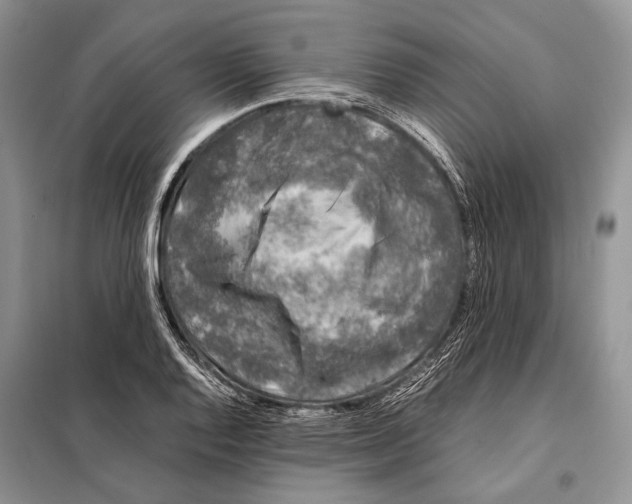 X0000098081128200805021015