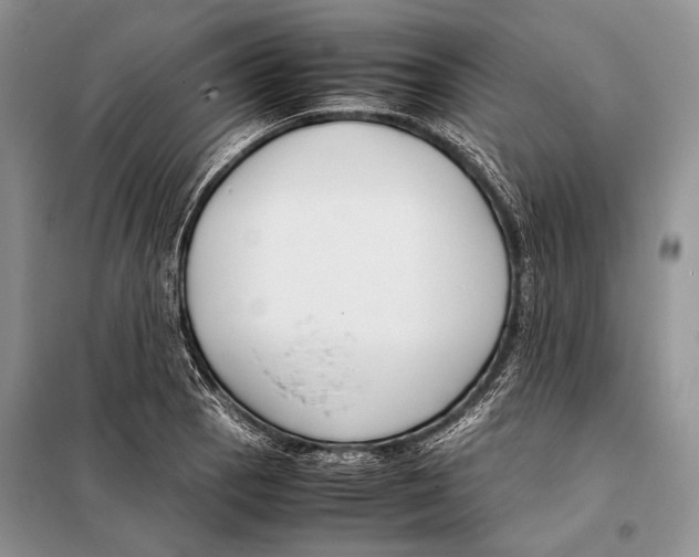 X0000098081129200805021015