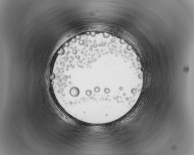 X0000098081130200805021015