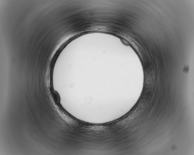 X0000098081131200805021015