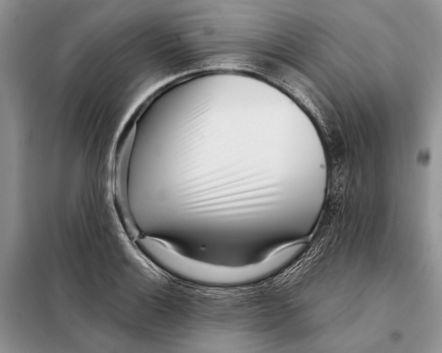 X0000098081132200805021015