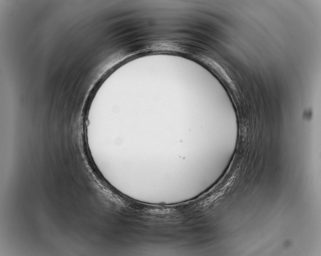 X0000098081133200805021015