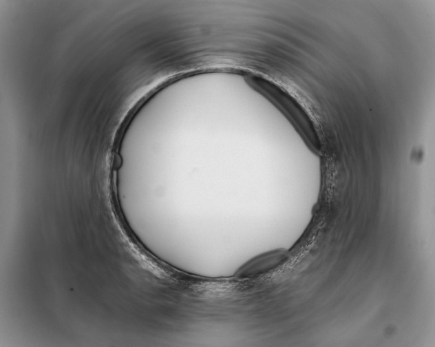 X0000098081134200805021015