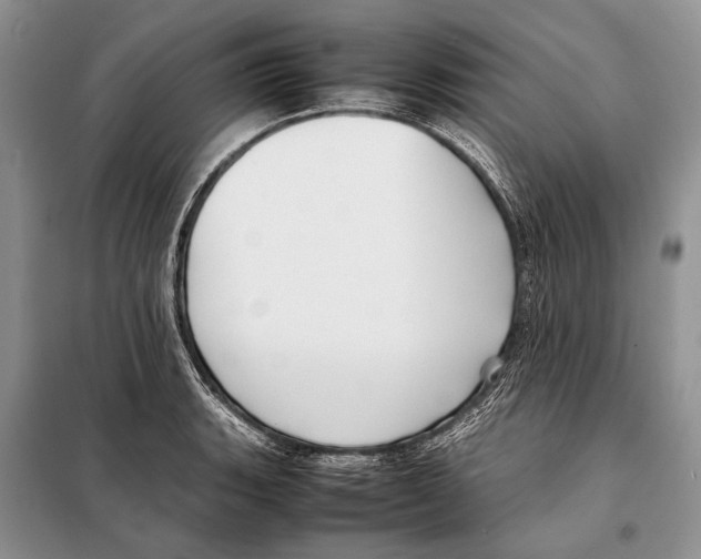 X0000098081135200805021015