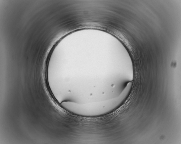 X0000098081136200805021015
