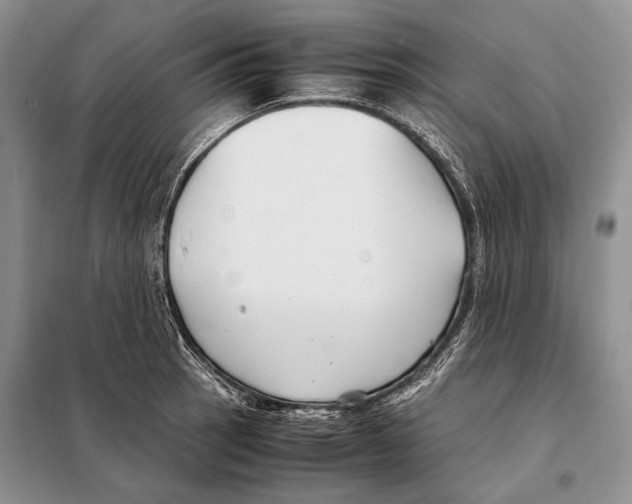 X0000098081137200805021015