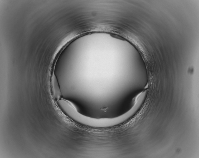 X0000098081138200805021015