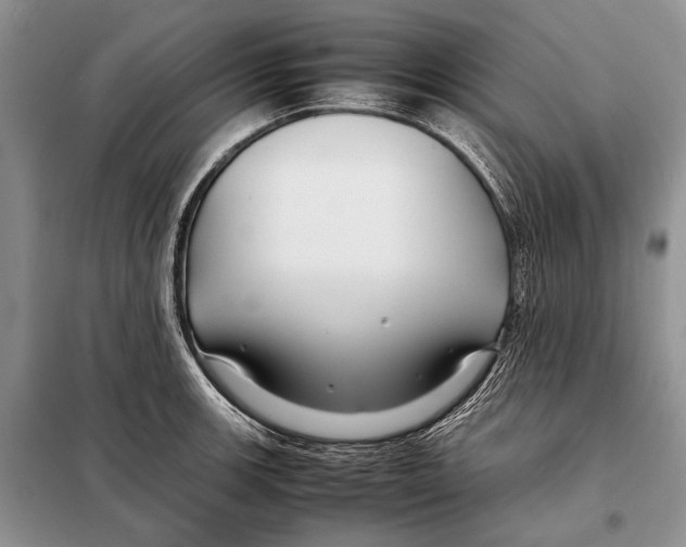 X0000098081139200805021015