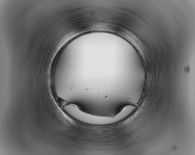 X0000098081141200805021015