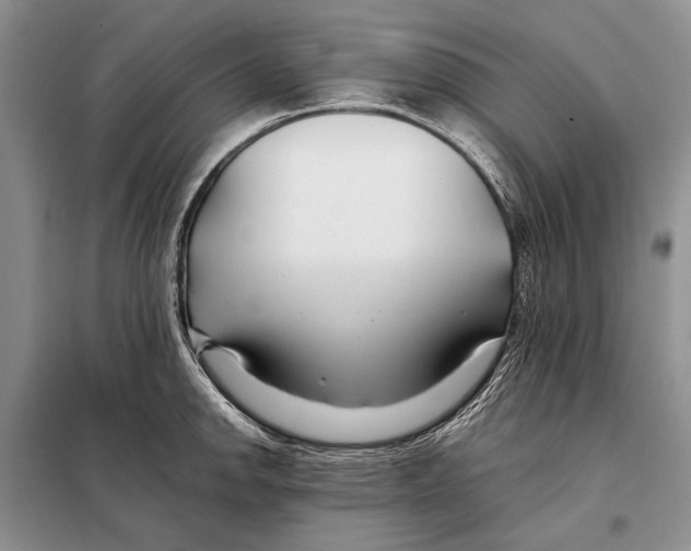 X0000098081142200805021016