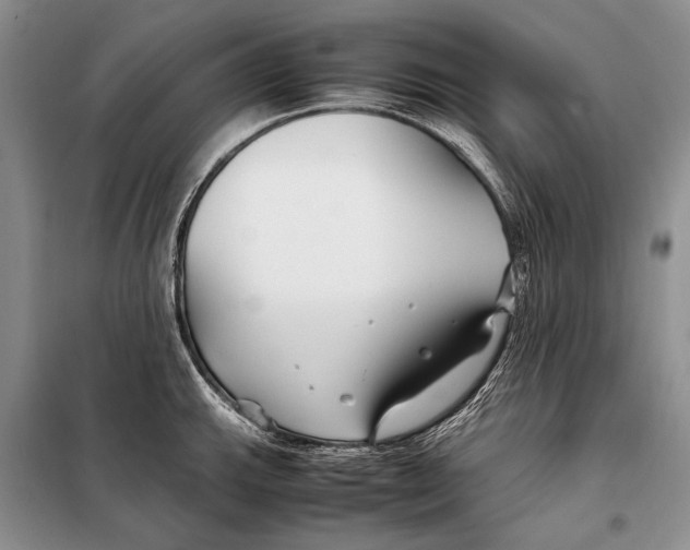X0000098081143200805021016