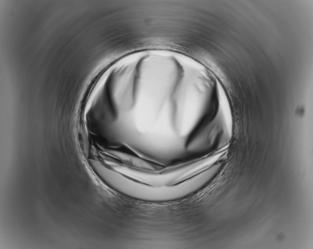 X0000098081144200805021016
