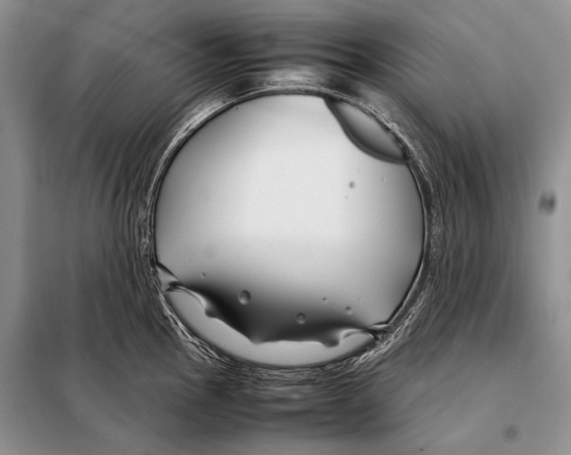 X0000098081145200805021016