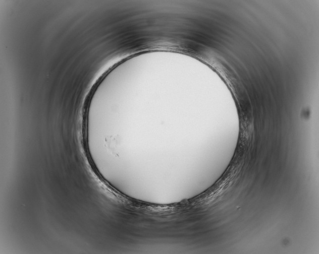 X0000098081147200805021016