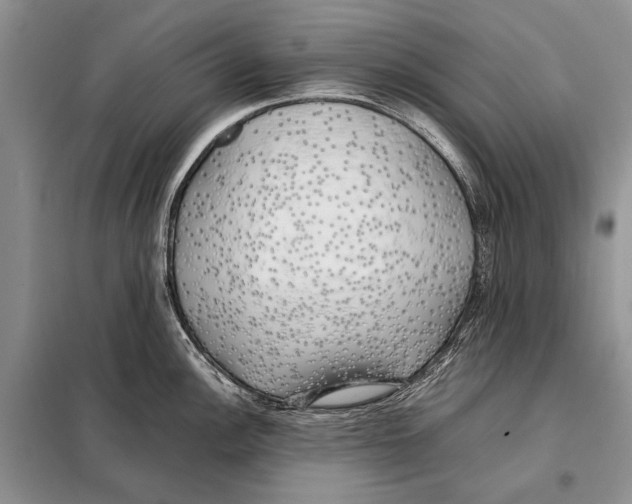 X0000098081148200805021016