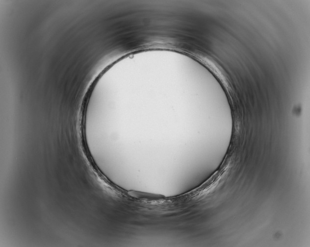 X0000098081149200805021016