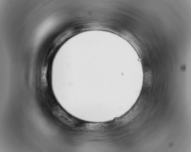 X0000098081150200805021016