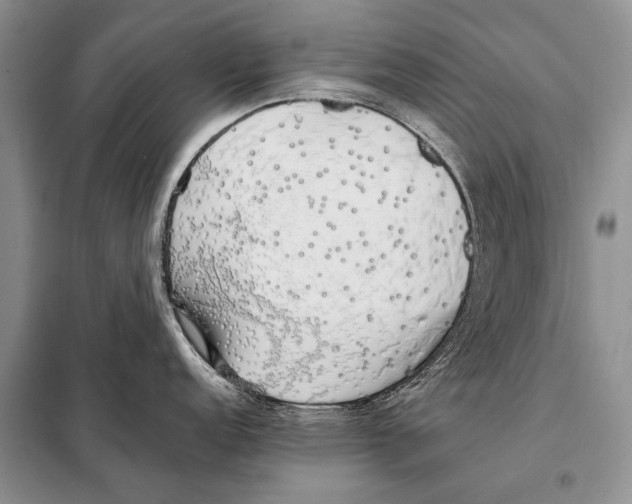 X0000098081152200805021016