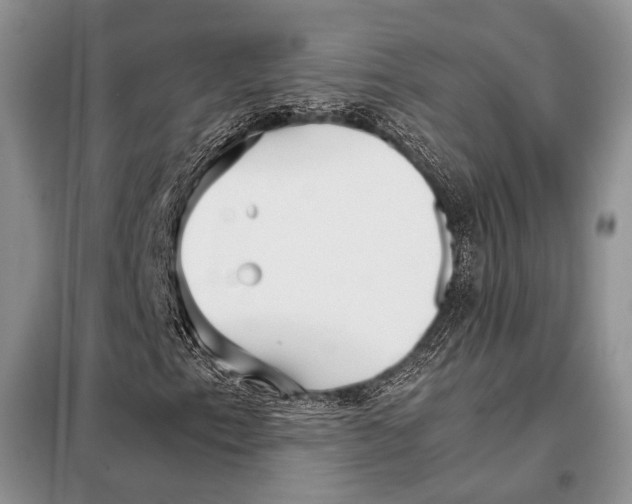 X0000098081153200805021015