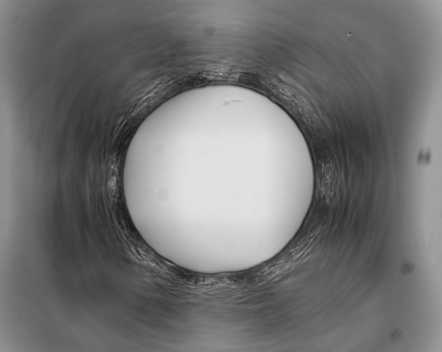 X0000098081154200805021015