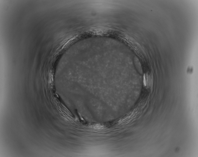 X0000098081155200805021015