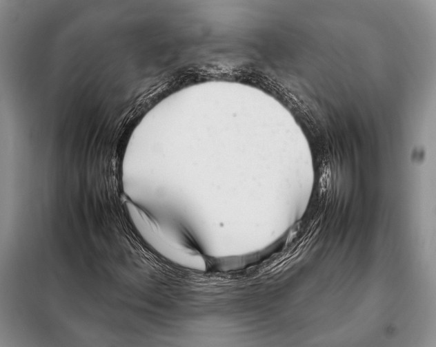 X0000098081156200805021015