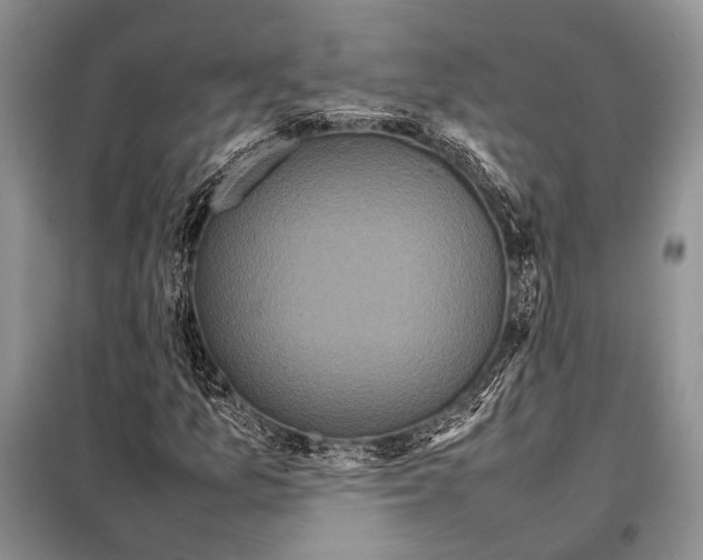 X0000098081157200805021015